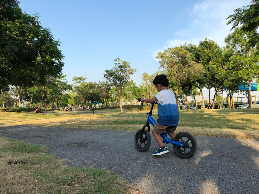 Bicicleta De Equilibrio Y Aprendizaje